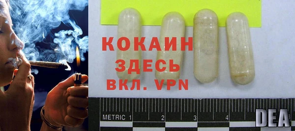 шишки Лиски