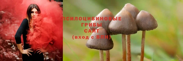 кокс Липки