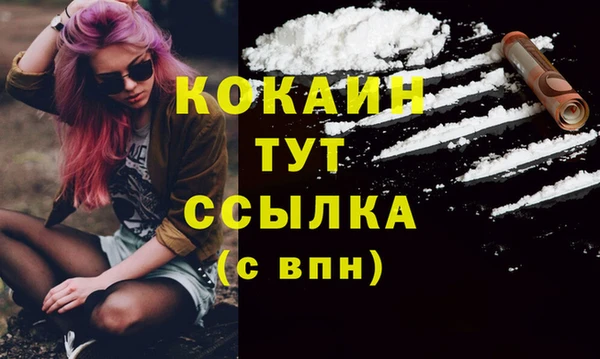 шишки Лиски