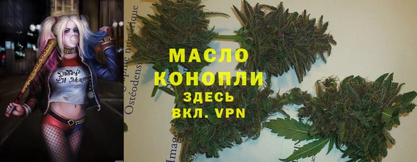 ГАЛЛЮЦИНОГЕННЫЕ ГРИБЫ Яровое