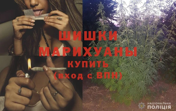 шишки Лиски