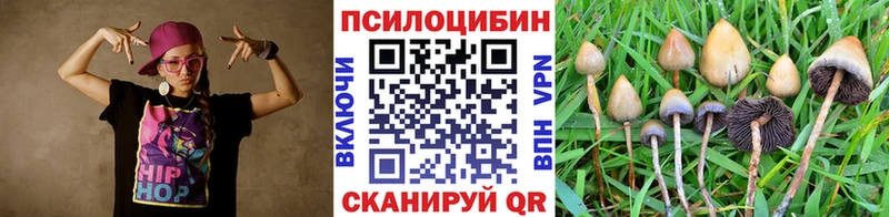 Купить  Краснослободск  Галлюциногенные грибы Magic Shrooms 